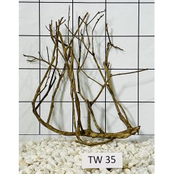 Talawawood 35