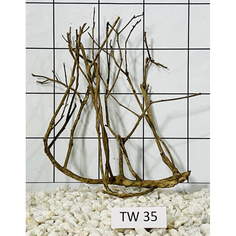 Talawawood 35