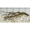 Talawawood 35