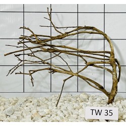 Talawawood 35