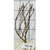 Talawawood 36
