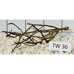Talawawood 36