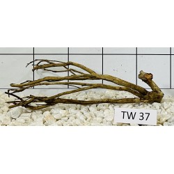 Talawawood 37