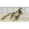 Talawawood 37