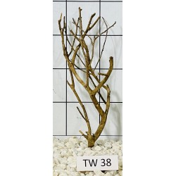 Talawawood 38
