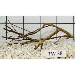 Talawawood 38