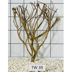 Talawawood 39