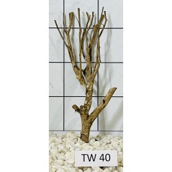 Talawawood 40