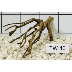 Talawawood 40