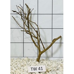Talawawood 41