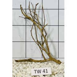 Talawawood 41