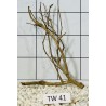 Talawawood 41
