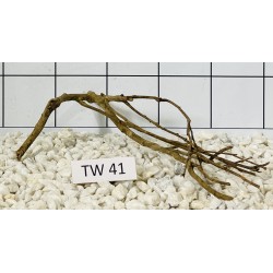 Talawawood 41