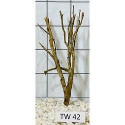 Talawawood 42