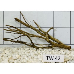 Talawawood 42