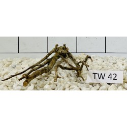Talawawood 42