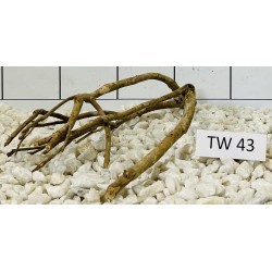 Talawawood 43