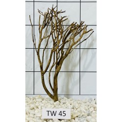 Talawawood 45