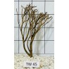 Talawawood 45