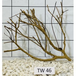 Talawawood 46