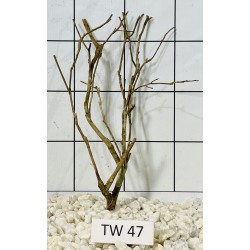 Talawawood 47