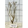 Talawawood 47