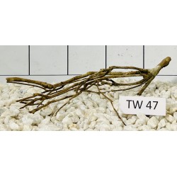 Talawawood 47