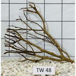 Talawawood 48