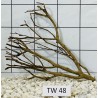 Talawawood 48