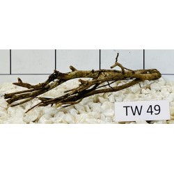 Talawawood 49