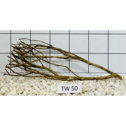 Talawawood 50