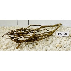 Talawawood 50
