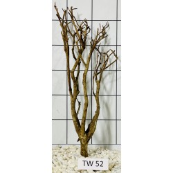 Talawawood 52