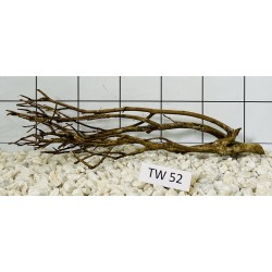 Talawawood 52