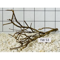 Talawawood 53
