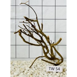 Talawawood 54