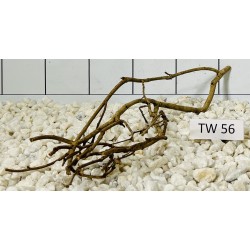 Talawawood 56
