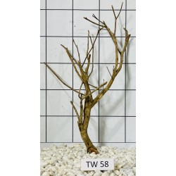 Talawawood 58