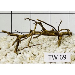 Talawawood 69