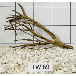 Talawawood 69
