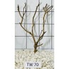 Talawawood 70