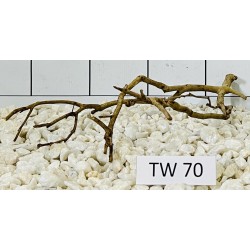 Talawawood 70