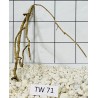 Talawawood 71