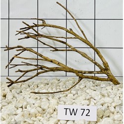 Talawawood 72