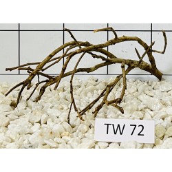 Talawawood 72
