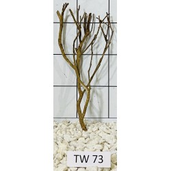 Talawawood 73
