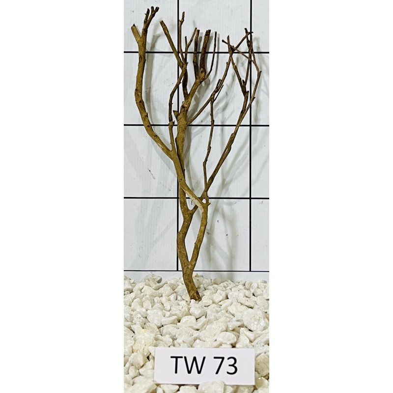 Talawawood 73