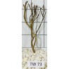 Talawawood 73