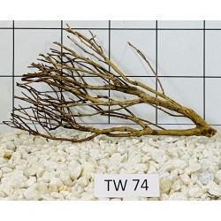 Talawawood 74