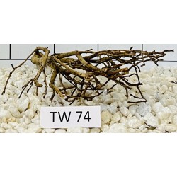 Talawawood 74